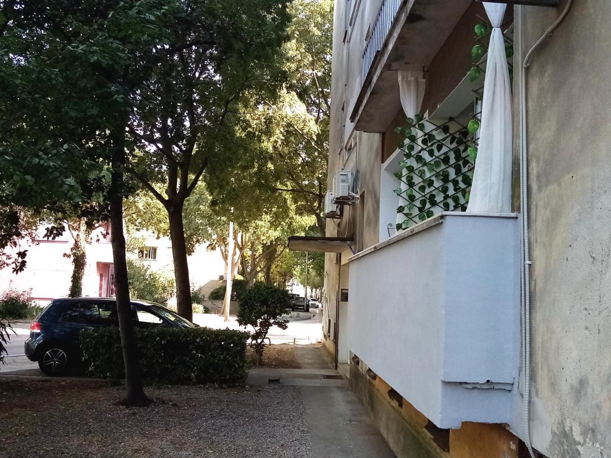 Apartment Puhov Zadar Exterior photo